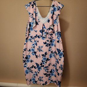 Boohoo Plus Size 24 Floral Dress